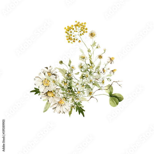 Watercolor floral seamless bouquet. Hand painted set of green leaves, wildflowers, field flowers, chamomile, daisy isolated on white background. Iillustration for design, print, background © 60seconds