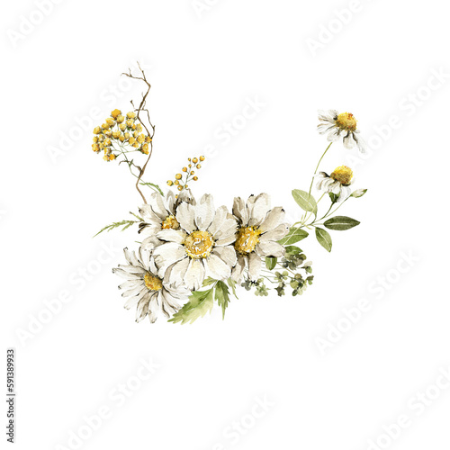 Watercolor floral seamless bouquet. Hand painted set of green leaves, wildflowers, field flowers, chamomile, daisy isolated on white background. Iillustration for design, print, background