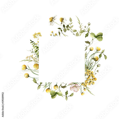 Watercolor floral border. Hand painted frame of green leaves  wildflowers  field flowers  chamomile  daisy isolated on white background. Iillustration for design  print  background