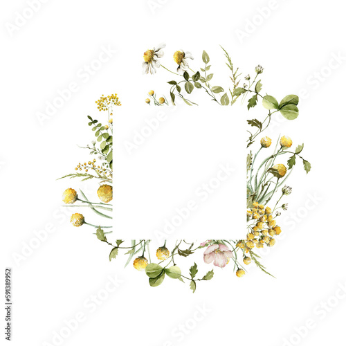 Wallpaper Mural Watercolor floral border. Hand painted frame of green leaves, wildflowers, field flowers, chamomile, daisy isolated on white background. Iillustration for design, print, background Torontodigital.ca