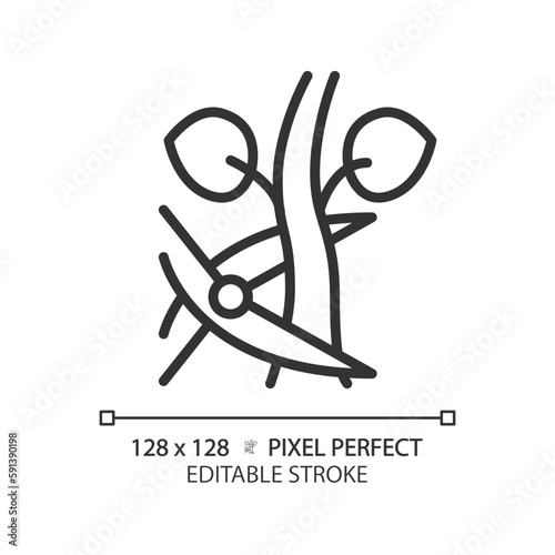 Pruning linear icon. Removing unnecessary branches. Tree trimming. Plant growth. Garden shear. Farming tool. Thin line illustration. Contour symbol. Vector outline drawing. Editable stroke
