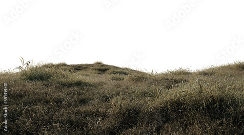 Dry grass field