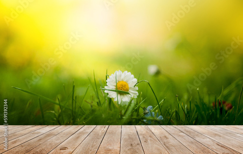 Green background flower wooden theme landscape