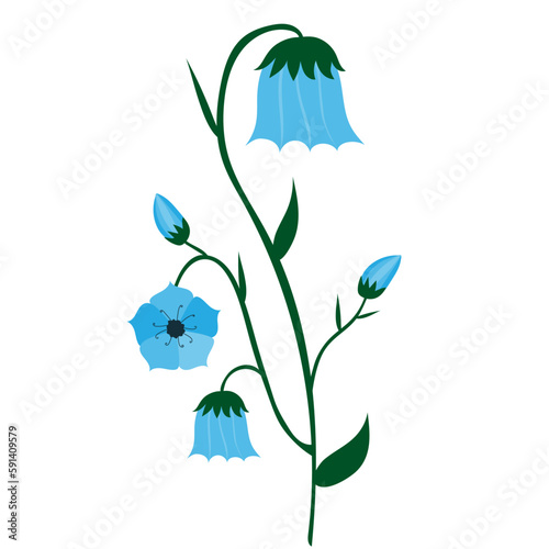 Bluebell flower on white background. fairy flowers, witches thimbles, cuckoo's boots clip art photo