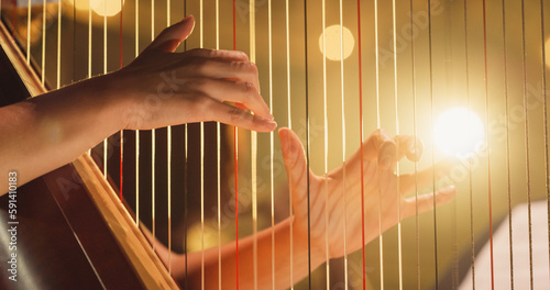 Canvas Print Cinematic Closeup of the Hands of a Female Harpist Playing Harp Solo Gracefully in a Dark Stage