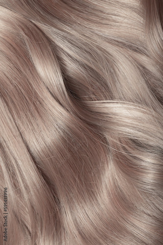Naklejka premium Blond hair close-up as a background. Women's long light brown hair. Beautifully styled wavy shiny curls. Hair coloring. Hairdressing procedures, extension.