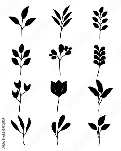 Set of hand-drawn flower, leaf, plants and flowers elements. Isolated branches on a white background.
