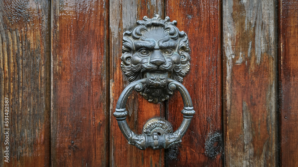 Decorative bronze handle in the form of a lion's head on a vintage door knocks on a wooden door