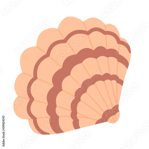 Colorful scallop sea shell clam isolated on white background. Marine undersea mollusc. Underwater sea fauna. Exotic beach shellfish, clamshell. Vector illustration in flat style