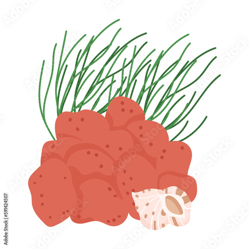 Stony red coral and algae together. Sea underwater plants and seashell. Tropical under water flora and fauna. Flat vector illustration isolated on white background