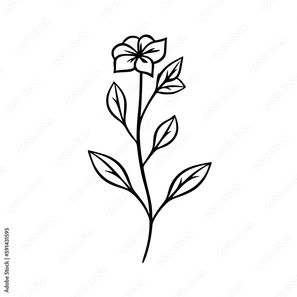 Twig vector illustration isolated on transparent background Twig vector illustration isolated on transparent background