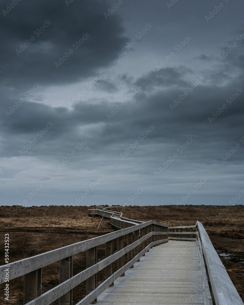 Vertical shot of a wooden footbridge in the middle of a wetland under the clouded sky Vertical shot of a wooden footbridge in the middle of a wetland under the clouded sky