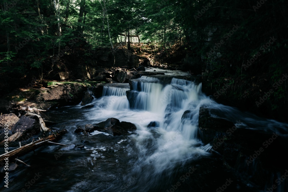 Beautiful water cascade surrounded by trees in a forest Beautiful water cascade surrounded by trees in a forest