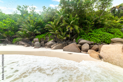 Rocks and palm trees in famous Anse Georgette beach in Praslin island