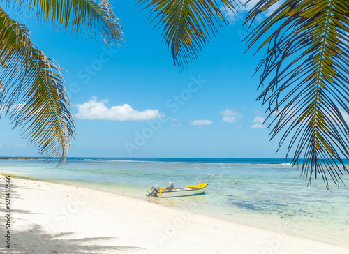 Fototapeta Naklejka Na Ścianę i Meble -  Boat and palm trees in Anse Forbans beach