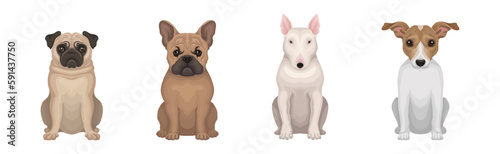 Purebred Dogs Sitting on Hind Legs Vector Set