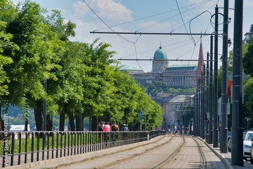 Photography Beautiful view of an asphalt street and pavements with some green trees around i