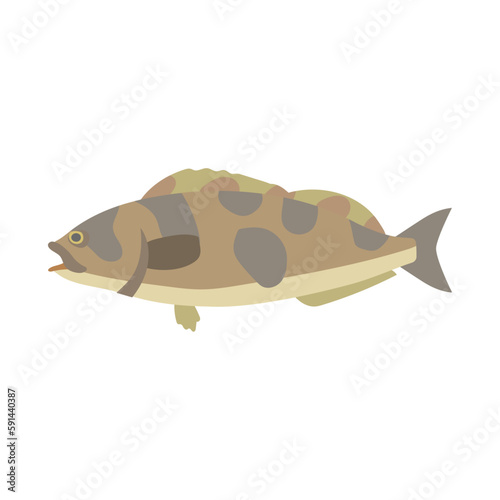 ホッケ。フラットなベクターイラスト。 Okhotsk atka mackerel. Flat designed vector illustration.