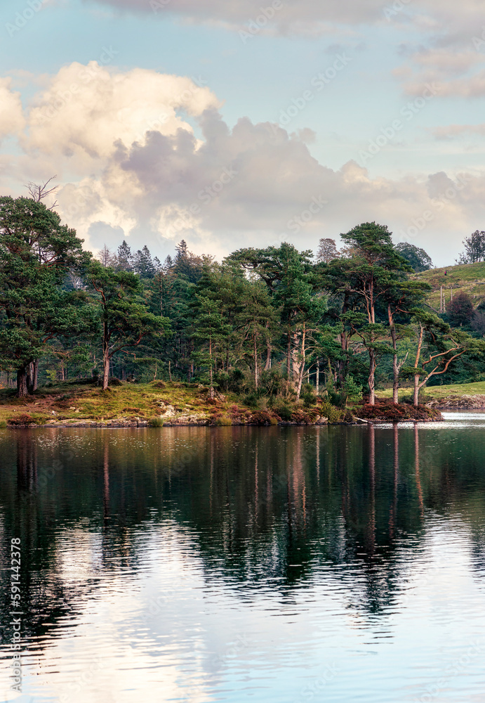 Tarn Hows, Lakes District, England