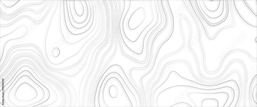 Vector seamless background, subtle pattern. topographic map background concept, topographic map. Geographic mountain relief, abstract lines background. Contour maps. vector illustration.	
