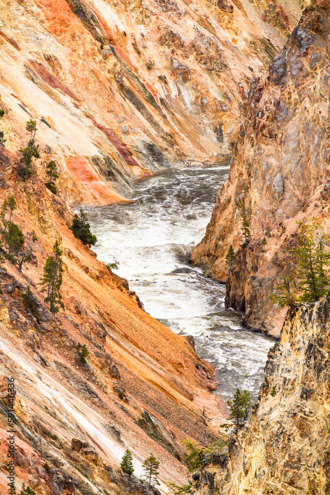 Canyon coloré du Yellowstone