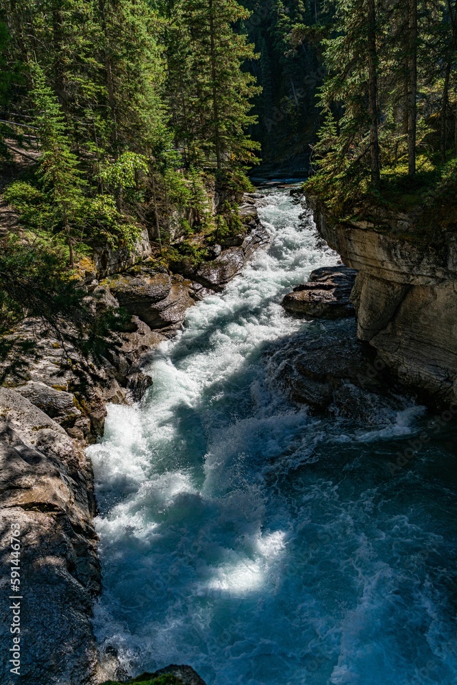 Fototapeta premium Vertical shot of a river flowing in the middle of rocky shore in the forest