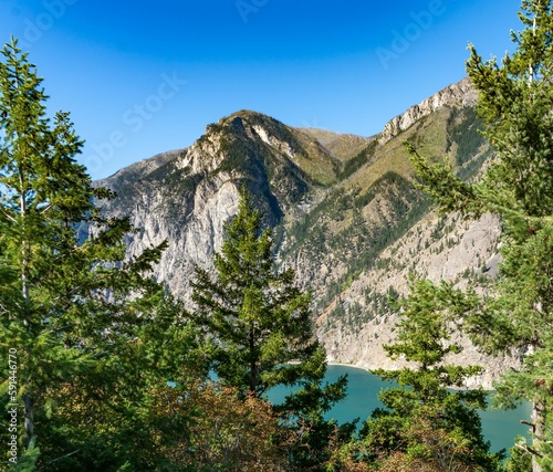 Idyllic landscape of a pine forest and a large body of tranquil water in the background