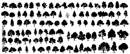 various deciduous trees silhouettes on the white background photo