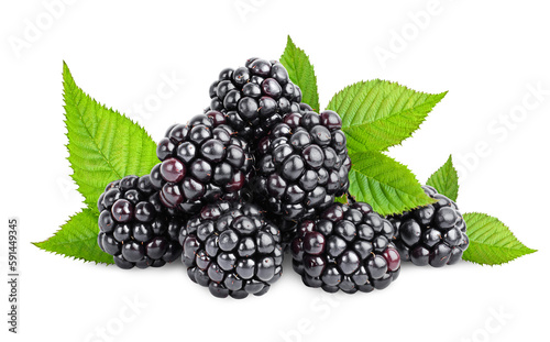 heap of blackberry and leaves on a white isolated background photo