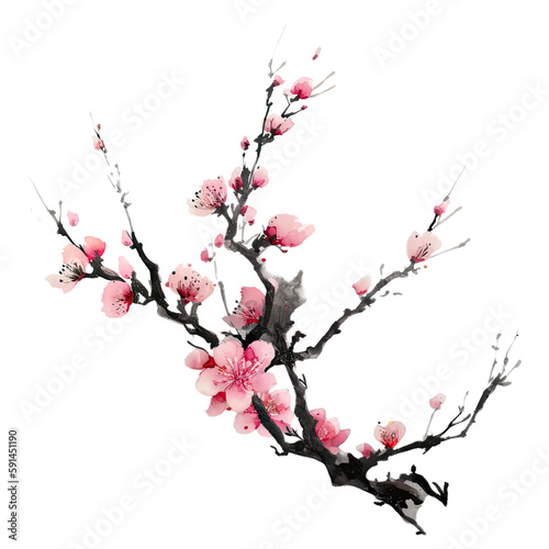 Traditional ink painting style peach tree branches, Beautiful pink peach blossom, spring flowers.	