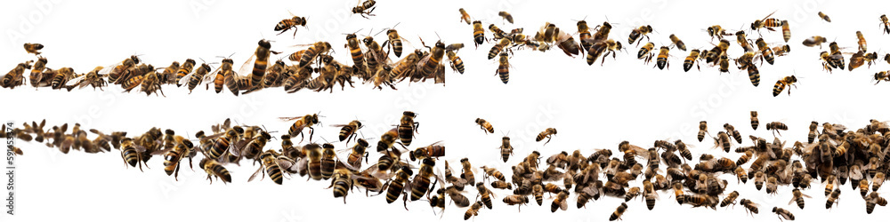 Generative AI image of many black and yellow bees crawling together isolated on white background - obrazy, fototapety, plakaty 