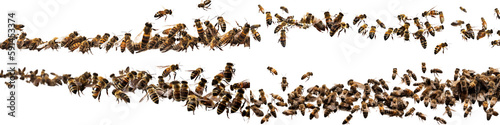 Generative AI image of many black and yellow bees crawling together isolated on white background
