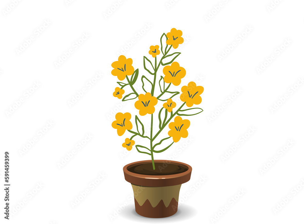 A flower plant with pot