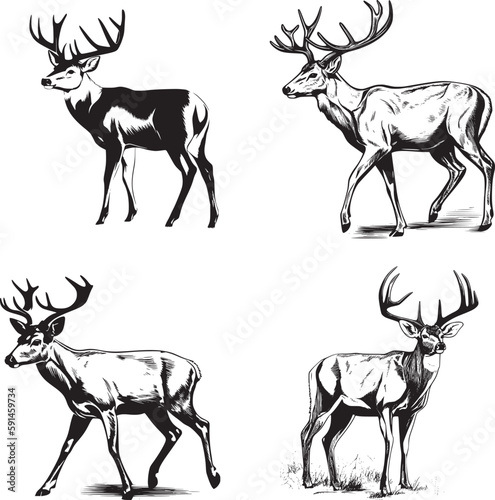 Whitetail Buck, dynamic pose simple graphic, cartoon vector art, sticker, black on white background 