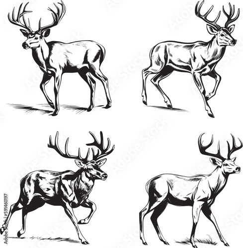 Whitetail Buck, dynamic pose simple graphic, cartoon vector art, sticker, black on white background 