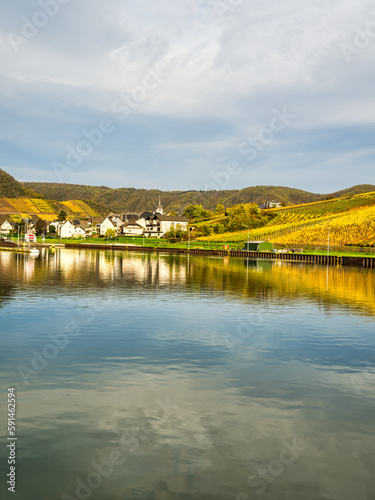 Briedern village on Moselle riverbank and colorful vineyards during autumn in Cochem-Zell district, Germany