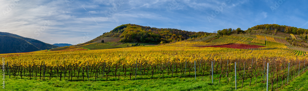 Panorama shot of colorful vineyards of Ellenz-Poltersdorf village during autumn in Cochem-Zell district, Germany