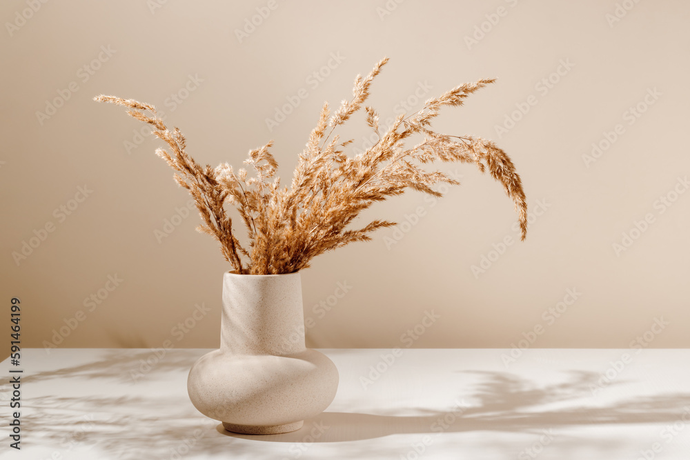 Stylish ceramic vase on the table with pampas or reed dry grass bouquet with warm shadows, light brown wall background. Scandinavian vase on the table with copy space, minimal aesthetic style - obrazy, fototapety, plakaty 