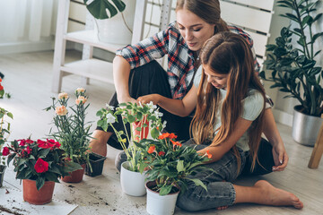 Girl and her mother are planting flowers together at their home.	
