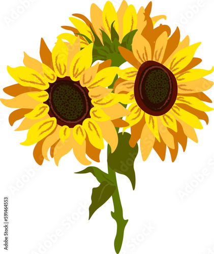 Vector floral composition with sunflowers, leaves, foliage, branches, fern leaves and place for your text.