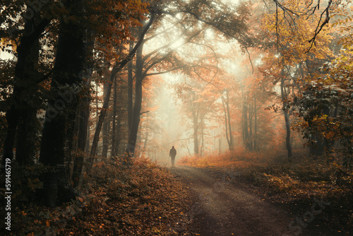 man walking on forest road in autumn, fantasy landscape