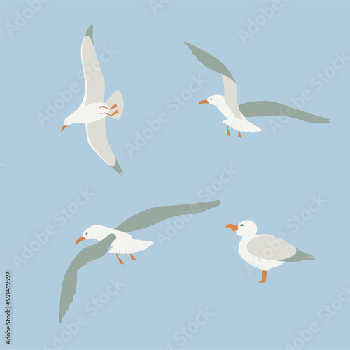A Seagull, vector logo design elements. Animal monochrome sketch. A logotype. A bird outline illustration.