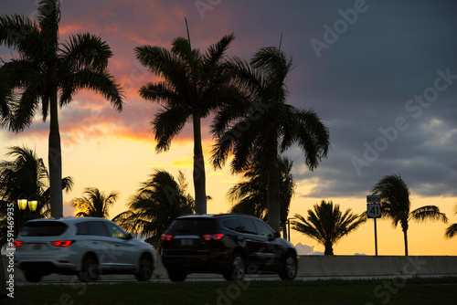 Car driving on american road under palm trees at Florida sunset