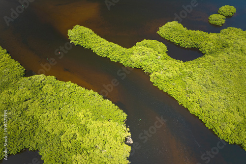 Fototapeta Naklejka Na Ścianę i Meble -  Overhead view of Everglades swamp with green vegetation between water inlets. Natural habitat of many tropical species in Florida wetlands