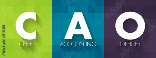 CAO Chief Accounting Officer - highest financial position in the business and manages things like budgets, forecasts, credit, taxes, and insurance, acronym text concept background