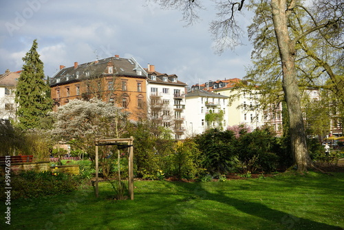 Frühling und Sonnenschein im Bethmannpark mit grünem Rasen und blühenden Bäumen an der Berger Straße im Stadtteil Bornheim in Frankfurt am Main in Hessen