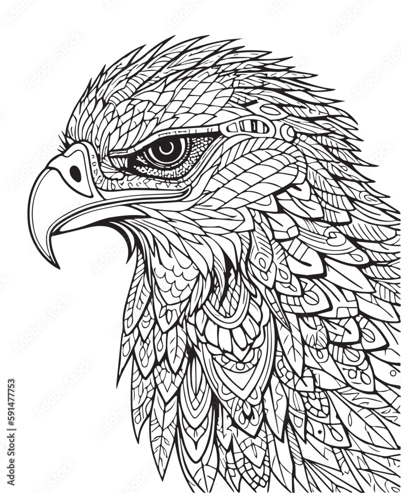 Hand drawn vector coloring page of Eagle. Coloring page for kids and