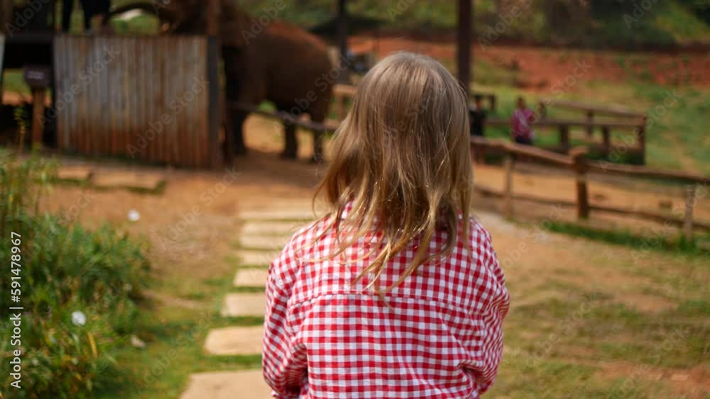 a girl with a wicker basket of bananas in her hands goes to feed the elephants a girl with a wicker basket of bananas in her hands goes to feed the elephants