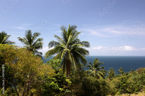 THAILAND SURAT THANI KO TAO ISLAND