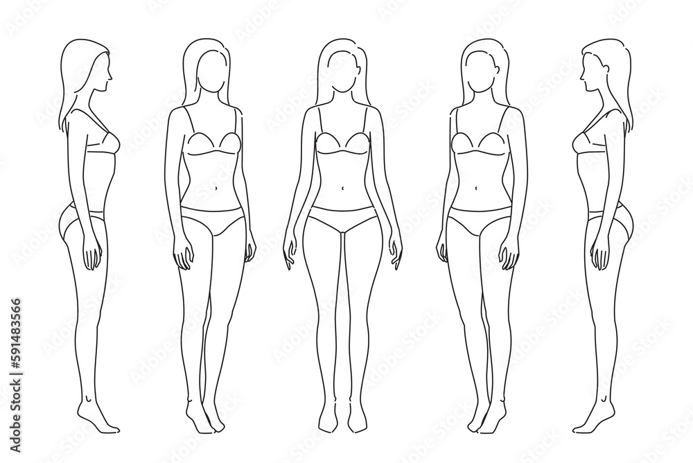 Woman body. Full-length standing portrait. Set of body-positive female. Five angles figure front, 3 of 4, side views shape. Vector fashion silhouette outline line illustration Woman body. Full-length standing portrait. Set of body-positive female. Five angles figure front, 3 of 4, side views shape. Vector fashion silhouette outline line illustration
